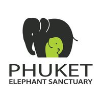 logo-company